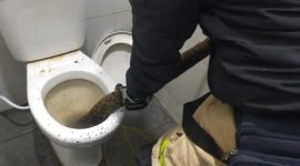 Petugas Damkar evakuasi ular piton sepanjang 4 meter di dalam kloset toilet F1 Foodcoart. (Foto: dokumen)