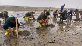 Pelaksanaan penanaman pohon di kegiatan Semarak Babel, Selasa, 23 Juli 2024. (Foto: dokumen PT Timah)