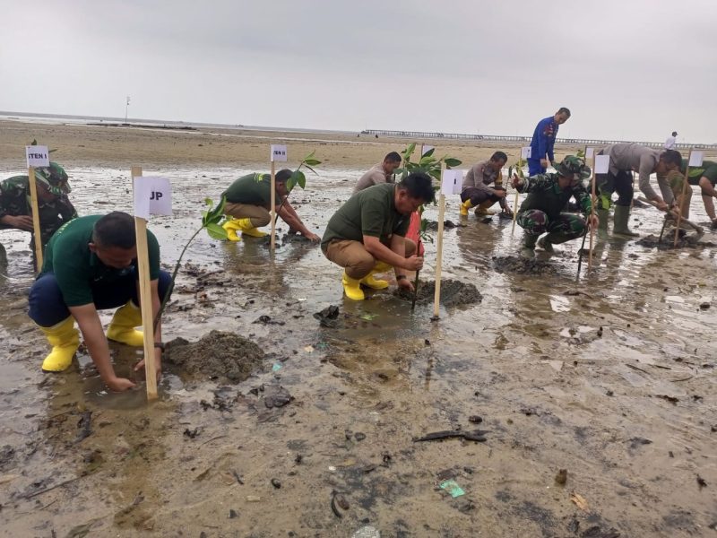 Pelaksanaan penanaman pohon di kegiatan Semarak Babel, Selasa, 23 Juli 2024. (Foto: dokumen PT Timah)