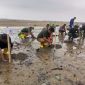 Pelaksanaan penanaman pohon di kegiatan Semarak Babel, Selasa, 23 Juli 2024. (Foto: dokumen PT Timah)