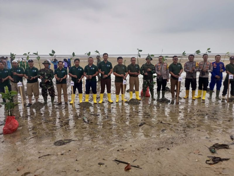 Pelaksanaan penanaman pohon pada kegiatan Semarak Babel, Selasa, 23 Juli 2024. (Foto: istimewa)