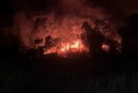 Api membakar hutan dan lahan di Lembah Murni, Kelurahan Pasir Panjang. (Foto: Dokumen Damkar)