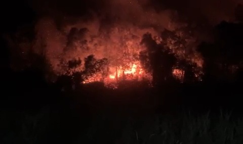 Api membakar hutan dan lahan di Lembah Murni, Kelurahan Pasir Panjang. (Foto: Dokumen Damkar)