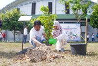 Kegiatan Penanaman Pohon dilaksanakan PT Timah Tbk. (Foto: Humas PT Timah)