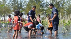 Jajaran PT Timah lakukan penanaman Mangrove sebagai bentuk pengelolaan lingkungan berkelanjutan. (Foto: Humas Timah)
