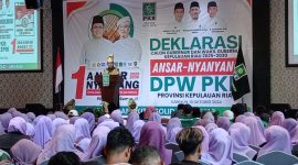 Cawagub Nomor Urut 1 Ansar Ahmad memberikan sambutan dalam Deklarasi Dukungan oleh Kader DPW PKB di Hotel Aston Karimun. Foto: istimewa