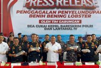 Bareskrim Polri Bongkar Modus Penyelundupan 237 Ribu Benih Lobster Senilai Rp 23,8 Miliar. Foto: ricky/kepriheadline.id