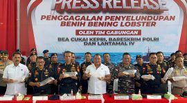 Bareskrim Polri Bongkar Modus Penyelundupan 237 Ribu Benih Lobster Senilai Rp 23,8 Miliar. Foto: ricky/kepriheadline.id