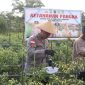 Wakapolres Karimun Kompol Herie Pramono Pimpin Panen Raya dari Lahan Ketahanan Pangan Polsek Meral. Foto: Stiv/Humas Polres Karimun