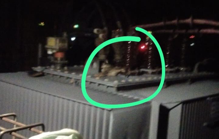 Kucing Masuk ke dalam Trafo dan akibatkan listrik Blackout menyeluruh
