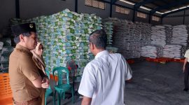 Plt. Kabid Perdagangan Disperkop UKM dan ESDM Kabupaten Karimun, Vandarones Purba mengecek ketersediaan beras di Gudang Bulog. Foto: istimewa