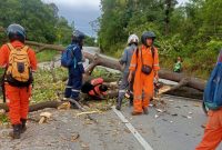 Penampakan seorang pengendara sepeda motor tertimpa pohon tumbang di kawasan Simoang Mutiara. Foto: Warganet/Istimewa