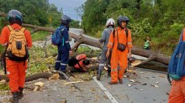 Penampakan seorang pengendara sepeda motor tertimpa pohon tumbang di kawasan Simoang Mutiara. Foto: Warganet/Istimewa