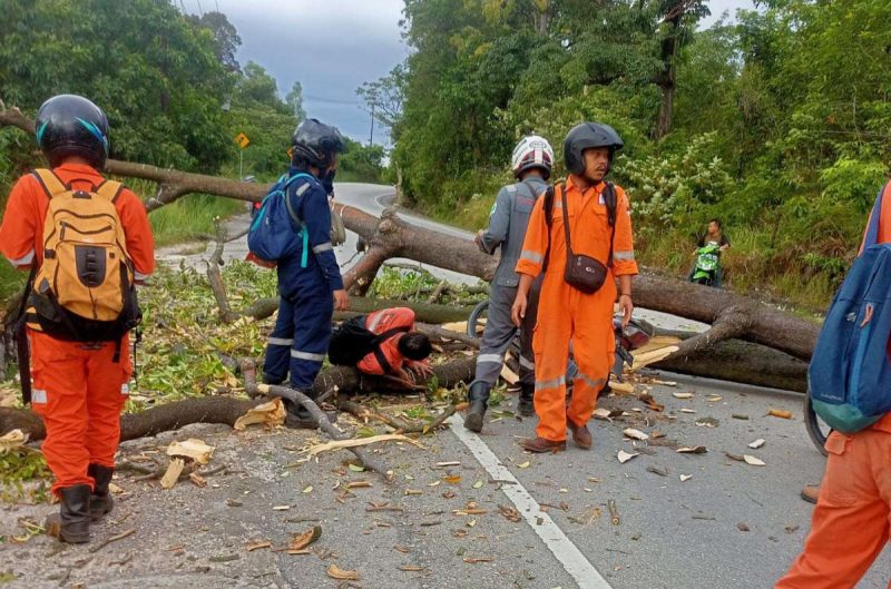 Penampakan seorang pengendara sepeda motor tertimpa pohon tumbang di kawasan Simoang Mutiara. Foto: Warganet/Istimewa