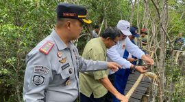Proses pelepasan 100 bibit kepiting bakau di Hutan Mangrove Rutan Karimun. Foto: dokumen rutan/istimewa