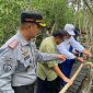 Proses pelepasan 100 bibit kepiting bakau di Hutan Mangrove Rutan Karimun. Foto: dokumen rutan/istimewa