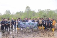 Karyawan PT Timah bersama Masyarakat Nelayam melakukan penanaman Mangrove di Pesisir Pantai Batu Kucing. Foto: Istimewa
