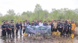 Karyawan PT Timah bersama Masyarakat Nelayam melakukan penanaman Mangrove di Pesisir Pantai Batu Kucing. Foto: Istimewa