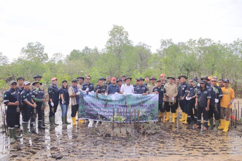 Karyawan PT Timah bersama Masyarakat Nelayam melakukan penanaman Mangrove di Pesisir Pantai Batu Kucing. Foto: Istimewa