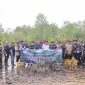 Karyawan PT Timah bersama Masyarakat Nelayam melakukan penanaman Mangrove di Pesisir Pantai Batu Kucing. Foto: Istimewa