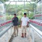 Dukung Ketahanan Pangan, PT Timah Serahkan Bantuan Usaha Budidaya Ayam Petelur di Bangka Barat. Foto: Humas PT Timah
