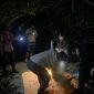 Proses evakuasi mayat misterius yang ditemukan warga di Hutan Bakau, Pulau Sungkup, Desa Tulang. Foto: Dokumen Basarnas Karimun/KepriHeadline.id