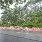Penampakan kondisi Tempat Pembuangan Sampah Sementara di Jalan Kapten Tendean Desa Pangke. Foto: istimewa/Kepriheadline.id