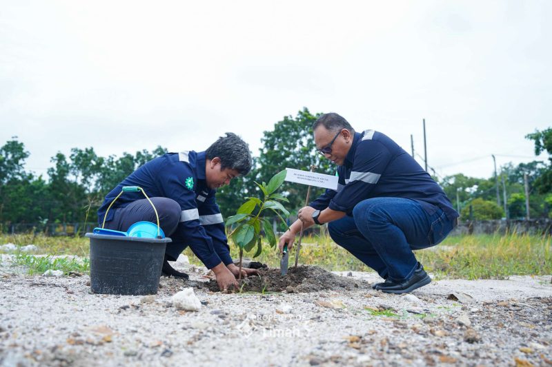 Kolaborasi dengan Pemerintah, PT Timah Tanam 500 Pohon Buah Dalam Rangka Peringatan Bulan K3 Nasional. Foto: KepriHeadline.id