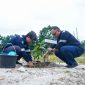 Kolaborasi dengan Pemerintah, PT Timah Tanam 500 Pohon Buah Dalam Rangka Peringatan Bulan K3 Nasional. Foto: KepriHeadline.id