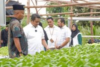 Kelompok Hidroponik Lanjut Bestari Kembangkan Pertanian Berkelanjutan di Kepulauan Riau. Foto: Humas PT Timah/kepriheadline.id