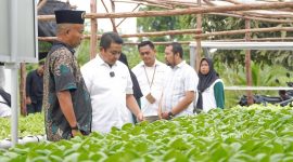 Kelompok Hidroponik Lanjut Bestari Kembangkan Pertanian Berkelanjutan di Kepulauan Riau. Foto: Humas PT Timah/kepriheadline.id