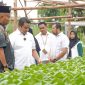 Kelompok Hidroponik Lanjut Bestari Kembangkan Pertanian Berkelanjutan di Kepulauan Riau. Foto: Humas PT Timah/kepriheadline.id