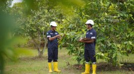 Reklamasi Berkelanjutan, Upaya PT Timah Jaga Ekosistem Pasca Tambang. Foto: Humas PT Timah