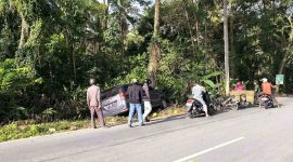 Minibus Tabrak Pohon Kelapa di Karimun, Pengemudi Hilang Tinggalkan Kendaraan. Foto: Istimewa/KepriHeadline.id