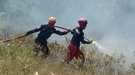 Petugas Damkar melakukan pemadaman lahan di wilayah Karimun. Foto: istimewa