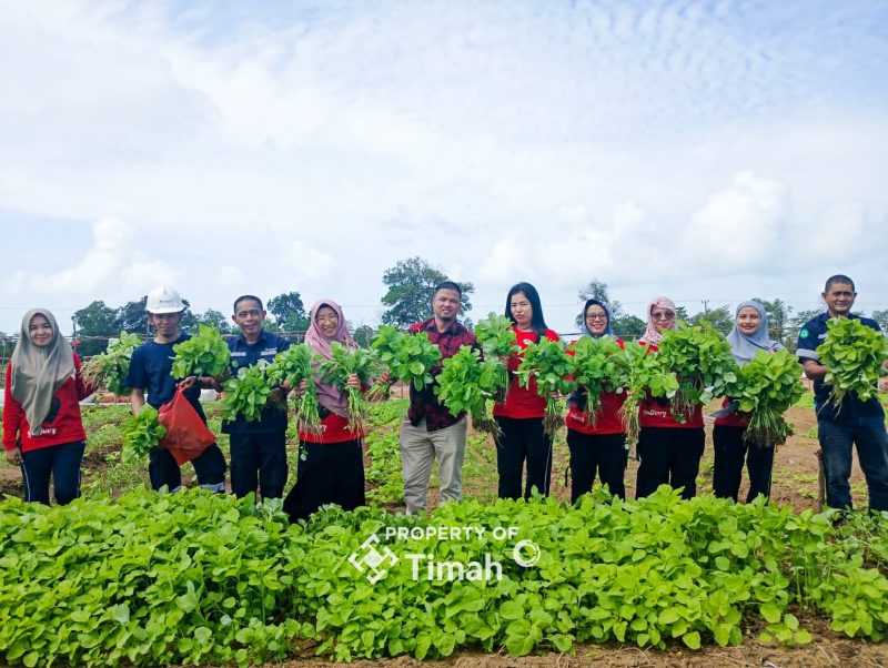 Tidak Hanya Dukung Ketahanan Pangan, Farm Estate Tanjung Ular Ciptakan Kesempatan Kerja Bagi Masyarakat. Foto: Istimewa