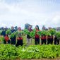 Tidak Hanya Dukung Ketahanan Pangan, Farm Estate Tanjung Ular Ciptakan Kesempatan Kerja Bagi Masyarakat. Foto: Istimewa