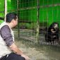 Tambang Timah Ilegal Merajalela di Bangka Belitung, Ancam Ekosistem Satwa Endemik. Foto: Humas PT Timah