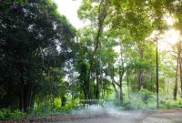 Konservasi Hutan Kehati, Langkah Nyata PT Timah Menuju Keberlanjutan. FOTO: Corporate Communication PT Timah Tbk