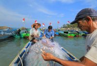 Inisiatif PT Timah untuk Tingkatkan Kesejahteraan Nelayan, Pemberdayaan Kelompok Hingga Jaminan Perlindungan Sosial. FOTO Corporate Communication PT Timah Tbk
