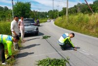 Petugas Satlantas Polres Karimun melakukan olah TKP di lokasi kecelakaan maut antara Kawasaki Ninja dan Daihatsu Rocky. FOTO: Istimewa
