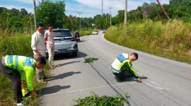 Petugas Satlantas Polres Karimun melakukan olah TKP di lokasi kecelakaan maut antara Kawasaki Ninja dan Daihatsu Rocky. FOTO: Istimewa