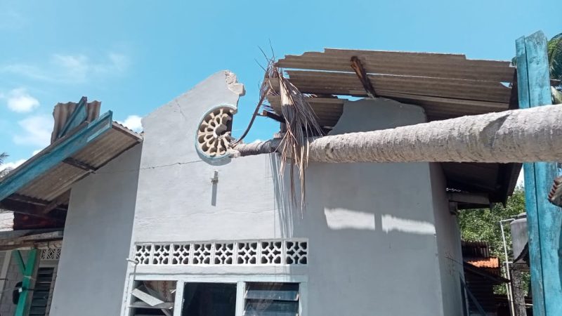 Pohon kelapa timpa rumah di Selat Mendaun. FOTO: Istimewa