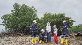 Wujudkan Aksi Nyata, PT Timah Tanam Ratusan Ribu Mangrove Dukung Target Net Zero Emission. Corporate Communication PT Timah Tbk