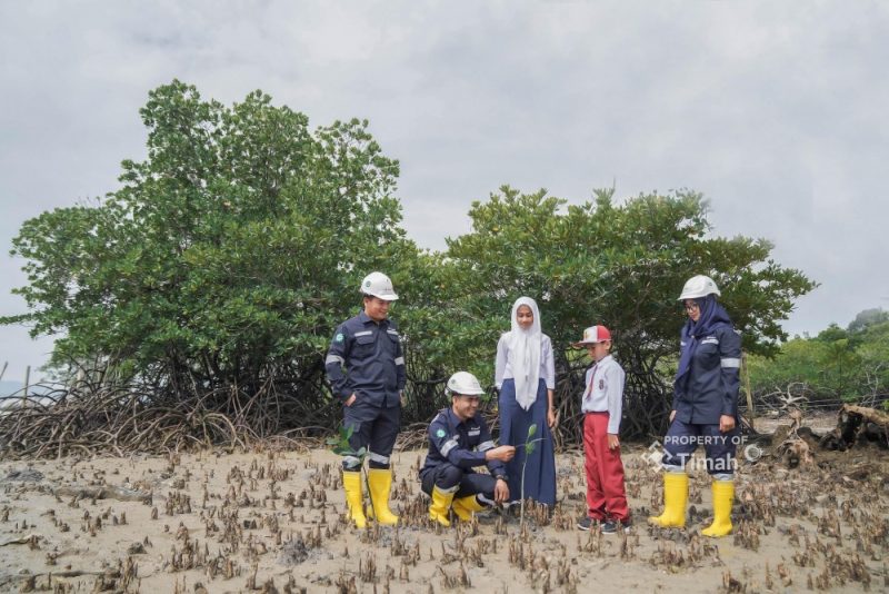Wujudkan Aksi Nyata, PT Timah Tanam Ratusan Ribu Mangrove Dukung Target Net Zero Emission. Corporate Communication PT Timah Tbk