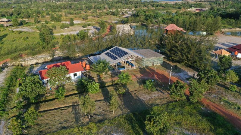 PT Timah Sinergikan Rehabilitasi Lingkungan dan Energi Hijau Lewat PLTS di Lahan Bekas Tambang. FOTO: Corporate Communication PT Timah Tbk