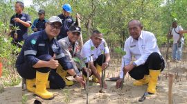 Langkah Berkelanjutan PT Timah Dalam Melestarikan Lingkungan, Tanam 2500 Bibit Mangrove di Karimun .FOTO; Corporate Communication PT Timah tbk