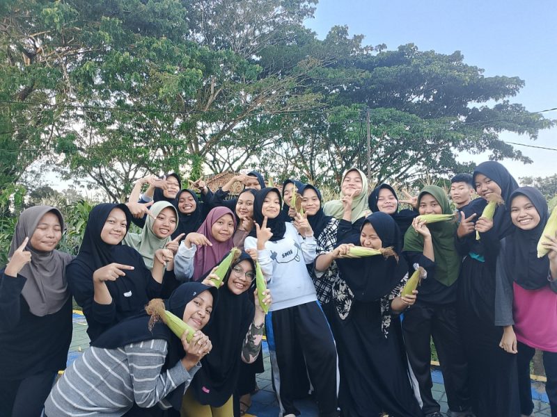 Siswa Pemali Boarding School PT Timah Panen Jagung, Dukung Ketahanan Pangan dan Edukasi Lingkungan. FOTO: Corporate Communication PT Timah Tbk