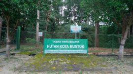 Hutan Kota Mentok, Komitmen PT Timah Jaga Flora Fauna Endemik dan Kawasan Konservasi. FOTO: Corporate Communication PT Timah Tbk
