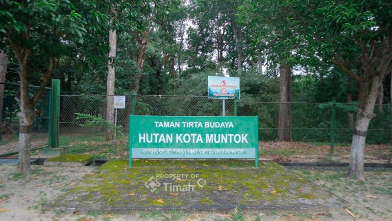 Hutan Kota Mentok, Komitmen PT Timah Jaga Flora Fauna Endemik dan Kawasan Konservasi. FOTO: Corporate Communication PT Timah Tbk